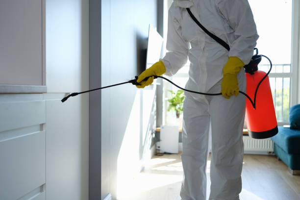 Reliable Fredericksburg, VA Mold Removal Solutions