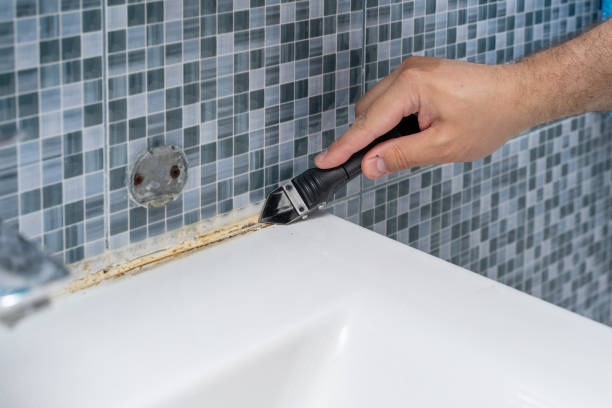 Best Home Mold Removal  in Fredericksburg, VA